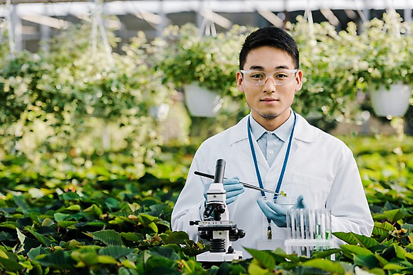 포토 JPG 외국인 식물 응시 남자 잎 실내 현미경 실험 한명 미소 사람 동양인 상반신 20대 성인 앞모습 실험복 생명공학 연구원 스포이트 시험관 체코 보안경 온실 성인남자한명만 국내포토 직업 1 시선 유럽 뷰포인트 의학 표정 실험기구 인종 청년 내부 가운 안전장비 피펫 남자한명만 성인남자만 파일형식