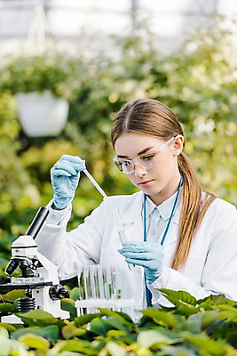 포토 JPG 서양인 외국인 식물 응시 여자 잎 실내 현미경 실험 한명 사람 상반신 20대 성인 앞모습 생명공학 연구원 스포이트 시험관 용액 체코 보안경 온실 성인여자한명만 국내포토 직업 1 시선 유럽 뷰포인트 의학 실험기구 인종 청년 내부 안전장비 피펫 여자한명만 성인여자만 파일형식