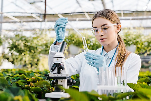 포토 JPG 서양인 외국인 식물 응시 여자 잎 실내 현미경 실험 한명 서기 사람 상반신 20대 성인 앞모습 잡기 실험복 생명공학 연구원 스포이트 시험관 용액 체코 보안경 온실 성인여자한명만 국내포토 직업 1 시선 유럽 뷰포인트 의학 모션 실험기구 인종 청년 내부 가운 안전장비 피펫 여자한명만 성인여자만 파일형식