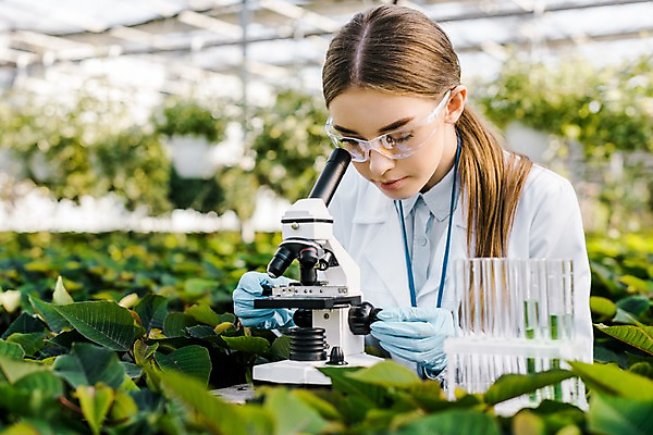 포토 JPG 서양인 외국인 식물 응시 여자 잎 실내 현미경 실험 한명 서기 사람 상반신 20대 성인 앞모습 관찰 잡기 생명공학 연구원 집중 시험관 체코 보안경 온실 성인여자한명만 국내포토 직업 1 시선 유럽 뷰포인트 컨셉 의학 모션 실험기구 인종 청년 내부 안전장비 여자한명만 성인여자만 파일형식