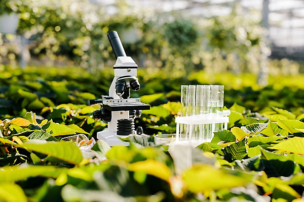 포토 JPG 식물 잎 실내 현미경 실험기구 실험 사람없음 시험관 용액 체코 온실 국내포토 유럽 과학 내부 파일형식