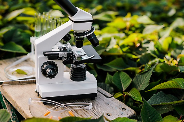 포토 JPG 식물 잎 실내 현미경 실험기구 사람없음 스포이트 시험관 체코 핀셋 보안경 온실 국내포토 유럽 과학 내부 도구 안전장비 피펫 파일형식