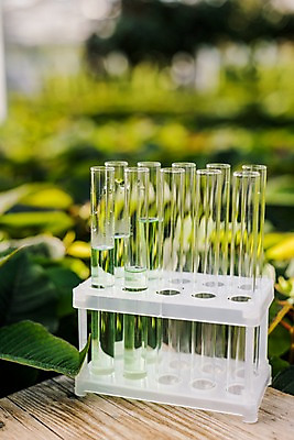 포토 JPG 식물 잎 실내 실험기구 근접촬영 사람없음 시험관 용액 체코 온실 국내포토 유럽 뷰포인트 과학 내부 파일형식