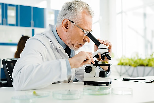 포토 JPG 서양인 외국인 응시 여자 노년 남자 잎 실내 현미경 실험 사람 앉기 상반신 20대 성인 두명 옆모습 뒷모습 관찰 실험복 연구실 60대 생명공학 연구원 집중 체코 안경낌 국내포토 식물 직업 시선 유럽 안경 뷰포인트 컨셉 의학 모션 실험기구 인종 청년 내부 가운 파일형식