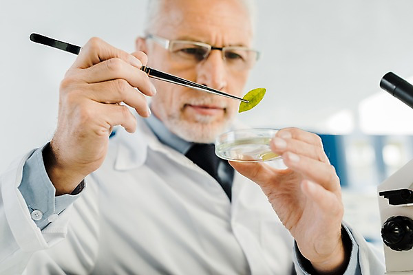 포토 JPG 서양인 외국인 응시 노년 남자 잎 실내 현미경 실험 한명 사람 상반신 앞모습 관찰 실험복 연구실 60대 생명공학 연구원 집중 체코 핀셋 노인남자한명만 안경낌 국내포토 식물 직업 1 시선 유럽 안경 뷰포인트 컨셉 의학 모션 실험기구 인종 성인 내부 도구 가운 남자한명만 노인남자만 파일형식