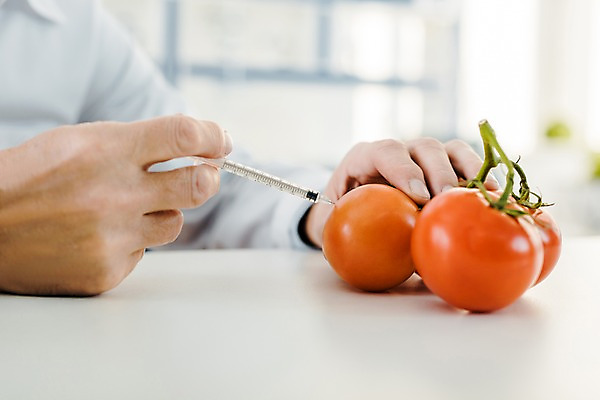 포토 JPG 서양인 외국인 노년 남자 토마토 실내 실험 주사기 한명 사람 앉기 근접촬영 상반신 옆모습 신체부위 양손 실험복 연구실 60대 생명공학 연구원 체코 노인남자한명만 국내포토 직업 1 손 유럽 뷰포인트 채소 의학 의료기기 모션 인종 성인 내부 가운 남자한명만 노인남자만 파일형식