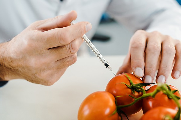 포토 JPG 서양인 외국인 노년 남자 토마토 실내 실험 주사기 한명 사람 앉기 근접촬영 상반신 앞모습 신체부위 양손 60대 생명공학 연구원 체코 노인남자한명만 국내포토 직업 1 손 유럽 뷰포인트 채소 의학 의료기기 모션 인종 성인 내부 남자한명만 노인남자만 파일형식