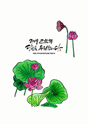 PSD 분홍색 일러스트 응원 근하신년 새해 연꽃 글자캘리그라피 사람없음 초록색 새해인사 인사말 연하장 연잎 2019년 기해년 국내일러스트 꽃 컬러 잎 캘리그라피 카드_감사 인사 연도 파일형식