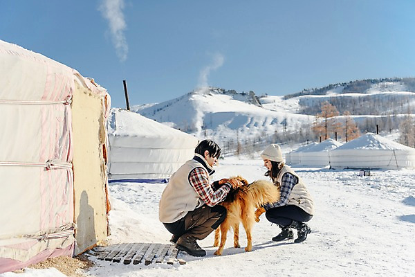 포토 JPG 주간 전신 전통 커플 계절 여자 남자 행복 겨울 하늘 주택 사랑 사람 20대 성인 야외 두명 옆모습 30대 청춘 설원 한국인 흰색 눈 개 몽골 게르 반려 성인만 쓰다듬기 국내포토 자연요소 감정 아시아 뷰포인트 컬러 컨셉 포유류 관계 모션 날씨 눈_날씨 동양인 청년 건물 장년 파일형식