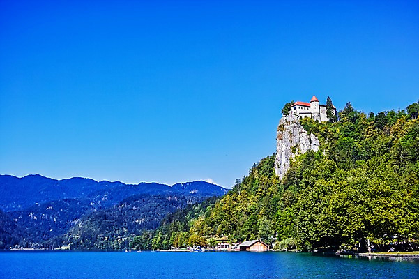 포토 JPG 주간 나무 해외풍경 호수 여행 유럽풍경 하늘 풍경 사람없음 야외 절벽 슬로베니아 블레드 블레드호수 국내포토 자연요소 식물 해외 유럽 파일형식