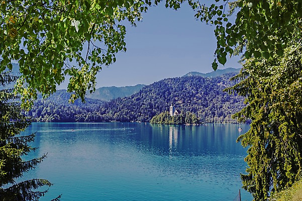 포토 JPG 주간 나무 해외풍경 호수 여행 잎 유럽풍경 풍경 사람없음 야외 슬로베니아 블레드 블레드호수 국내포토 자연요소 식물 해외 유럽 파일형식