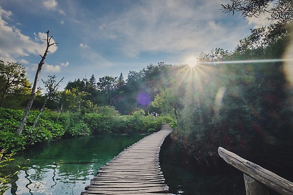 포토 JPG 주간 나무 구름 해외풍경 호수 여행 유럽풍경 하늘 풍경 사람없음 야외 햇빛 크로아티아 가교 플리트비체 국내포토 자연요소 식물 해외 건축물 유럽 태양 파일형식