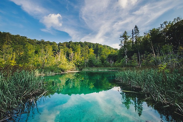 포토 JPG 주간 나무 구름 해외풍경 호수 여행 유럽풍경 하늘 풍경 사람없음 야외 크로아티아 플리트비체 국내포토 자연요소 식물 해외 유럽 파일형식