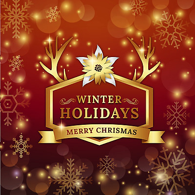 꽃 백그라운드 크리스마스 일러스트 뿔 눈꽃 사람없음 장식 빨간색 빛 금색 눈송이 보케 국내일러스트 AI파일 식물 기념일 컬러 눈_날씨 파일형식 벡터