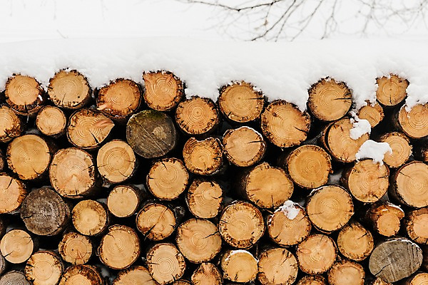 포토 JPG 주간 나무 계절 설경 겨울 산 한국 풍경 사람없음 야외 눈 장작 강원도 평창 겨울풍경 국내포토 자연요소 식물 아시아 날씨 파일형식
