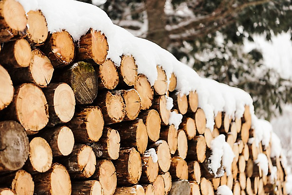 포토 JPG 주간 나무 계절 설경 겨울 산 한국 풍경 사람없음 야외 눈 장작 강원도 평창 겨울풍경 국내포토 자연요소 식물 아시아 날씨 파일형식