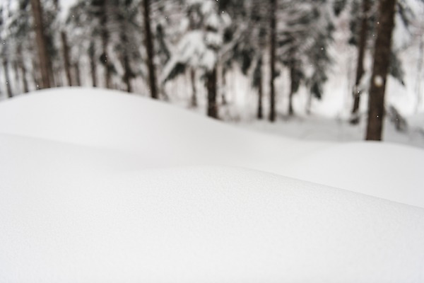 포토 JPG 주간 나무 계절 설경 겨울 산 한국 풍경 사람없음 야외 설원 눈 숲 강원도 평창 겨울풍경 국내포토 자연요소 식물 아시아 날씨 눈_날씨 파일형식