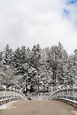 포토 JPG 주간 나무 구름 계절 설경 겨울 하늘 한국 눈꽃 풍경 사람없음 야외 눈 숲 강원도 월정사 평창 가교 겨울풍경 국내포토 자연요소 식물 건축물 아시아 날씨 눈_날씨 사찰 파일형식