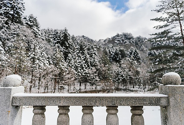 포토 JPG 주간 나무 계절 설경 겨울 불교 한국 풍경 사람없음 야외 눈 사찰 숲 강원도 월정사 평창 가교 겨울풍경 국내포토 자연요소 식물 건축물 아시아 종교 종교건축 날씨 파일형식
