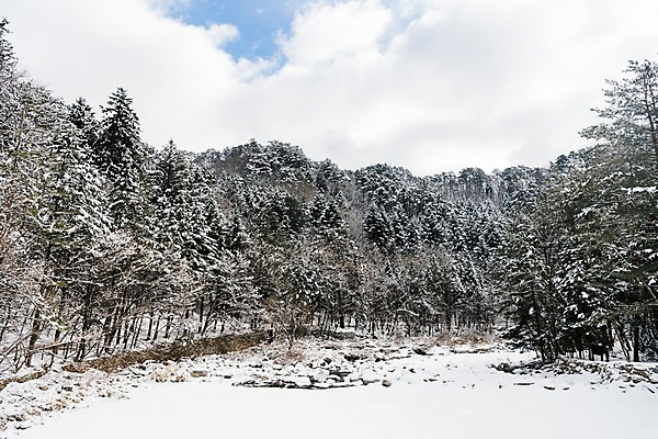 포토 JPG 주간 나무 구름 계절 설경 겨울 하늘 산 한국 눈꽃 풍경 사람없음 야외 눈 숲 강원도 평창 겨울풍경 눈덮임 국내포토 자연요소 식물 아시아 컨셉 날씨 눈_날씨 파일형식