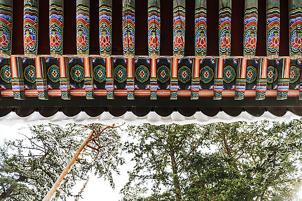 포토 JPG 주간 나무 계절 로우앵글 설경 겨울 불교 한국 풍경 사람없음 야외 전통문양 눈 사찰 강원도 처마 월정사 평창 겨울풍경 국내포토 자연요소 식물 전통 문양 아시아 종교 뷰포인트 종교건축 날씨 파일형식