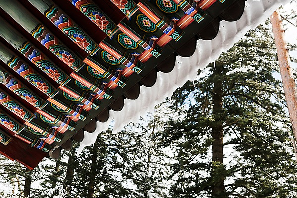 포토 JPG 주간 나무 계절 설경 겨울 불교 한국 풍경 사람없음 야외 눈 사찰 강원도 처마 고드름 월정사 평창 겨울풍경 국내포토 자연요소 식물 아시아 종교 종교건축 날씨 얼음 파일형식