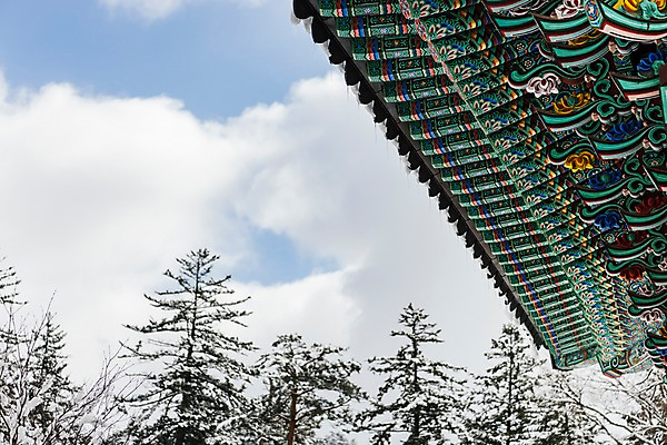 포토 JPG 주간 나무 계절 설경 겨울 불교 한국 눈꽃 풍경 사람없음 야외 눈 사찰 강원도 처마 월정사 평창 겨울풍경 국내포토 자연요소 식물 아시아 종교 종교건축 날씨 눈_날씨 파일형식