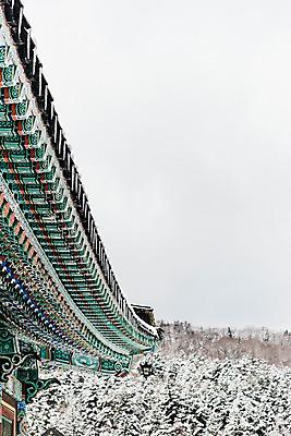 포토 JPG 주간 나무 계절 설경 겨울 불교 한국 눈꽃 풍경 사람없음 야외 눈 사찰 강원도 처마 월정사 평창 겨울풍경 국내포토 자연요소 식물 아시아 종교 종교건축 날씨 눈_날씨 파일형식