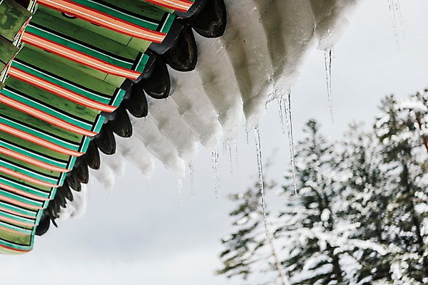 포토 JPG 주간 계절 설경 겨울 불교 한국 풍경 사람없음 야외 눈 사찰 강원도 처마 고드름 월정사 평창 겨울풍경 국내포토 자연요소 아시아 종교 종교건축 날씨 얼음 파일형식