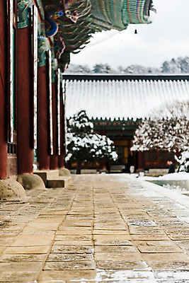 포토 JPG 주간 계절 설경 겨울 불교 한국 풍경 사람없음 야외 눈 사찰 강원도 처마 월정사 평창 겨울풍경 국내포토 자연요소 아시아 종교 종교건축 날씨 파일형식