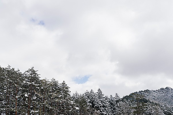 포토 자연요소 식물 계절 아시아 겨울 날씨 한국 풍경 강원도 파일형식 하늘 구름 산 나무 숲 JPG 겨울풍경 평창 설경 눈 주간 야외 사람없음 국내포토