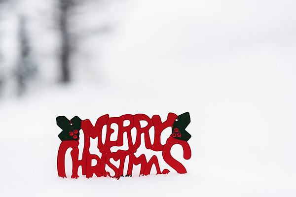 포토 JPG 주간 계절 크리스마스 설경 겨울 크리스마스용품 한국 풍경 사람없음 야외 빨간색 눈 심볼 강원도 평창 겨울풍경 국내포토 자연요소 기념일 아시아 컬러 날씨 용품 파일형식