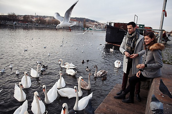 포토 JPG 주간 전신 서양인 외국인 커플 응시 여자 남자 호수 빵 겨울 데이트 여러마리 갈매기 서기 미소 사람 앉기 20대 성인 야외 두명 일상 옆모습 먹이 백조 체코 성인만 국내포토 자연요소 시선 계절 유럽 음식 뷰포인트 다수 관계 모션 조류 표정 인종 청년 라이프 파일형식