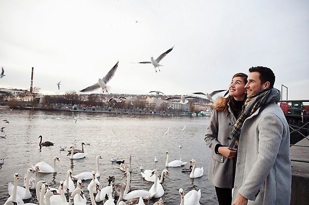 포토 JPG 주간 서양인 외국인 커플 응시 여자 남자 호수 겨울 데이트 여러마리 갈매기 미소 사람 상반신 20대 성인 야외 두명 일상 앞모습 옆모습 구경 백조 체코 성인만 국내포토 자연요소 시선 계절 유럽 뷰포인트 다수 관계 조류 표정 인종 청년 라이프 파일형식