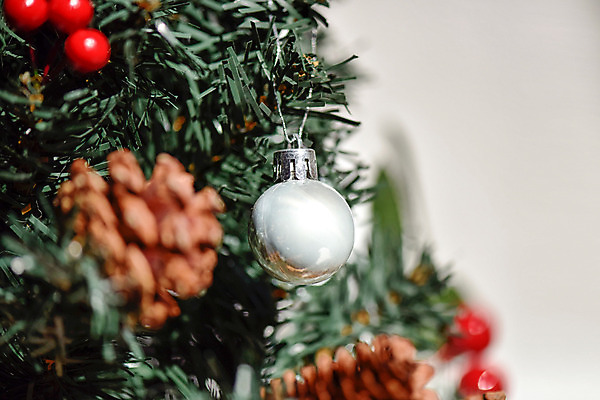 포토 JPG 스튜디오촬영 열매 크리스마스 겨울 크리스마스용품 실내 근접촬영 사람없음 장식 인테리어 크리스마스트리 장식볼 앵두 솔방울 감성 국내포토 식물 디자인 계절 기념일 뷰포인트 컨셉 내부 용품 파일형식