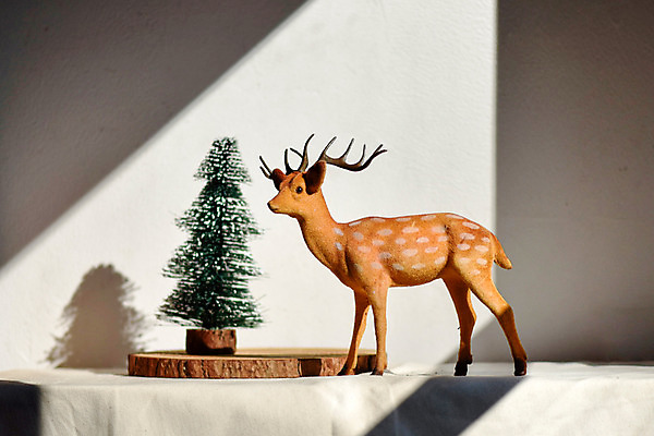 포토 JPG 스튜디오촬영 인형 크리스마스 겨울 크리스마스용품 사슴 실내 사람없음 빛 인테리어 크리스마스트리 감성 나무쟁반 국내포토 디자인 계절 기념일 컨셉 포유류 쟁반 내부 목재 용품 파일형식