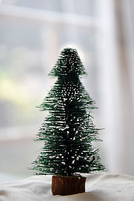 포토 JPG 스튜디오촬영 나무 크리스마스 겨울 창문 크리스마스용품 실내 사람없음 인테리어 눈 감성 국내포토 자연요소 식물 디자인 계절 기념일 컨셉 날씨 내부 용품 파일형식