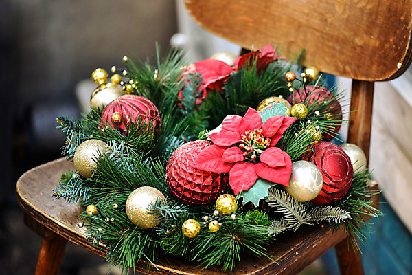 포토 JPG 스튜디오촬영 꽃 잎 크리스마스 겨울 의자 크리스마스용품 실내 사람없음 인테리어 장식볼 앤티크 빈티지 감성 포인세티아 크리스마스리스 국내포토 식물 디자인 계절 기념일 가구 컨셉 내부 장식 화환 용품 파일형식