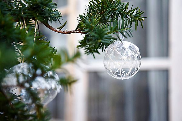 포토 JPG 스튜디오촬영 나무 크리스마스 유리 크리스마스용품 실내 사람없음 인테리어 크리스마스트리 장식볼 커튼 투명 감성 국내포토 식물 디자인 기념일 컨셉 재질 내부 장식 용품 파일형식