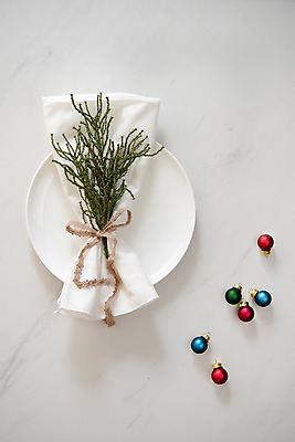 포토 JPG 스튜디오촬영 접시 리본 잎 크리스마스 겨울 크리스마스용품 실내 사람없음 인테리어 하이앵글 장식볼 끈 흰배경 감성 솔잎 꼬마전구 플랫레이 국내포토 식물 식기 디자인 계절 기념일 뷰포인트 백그라운드 컨셉 전구 내부 장식 흰색 플랫 용품 파일형식