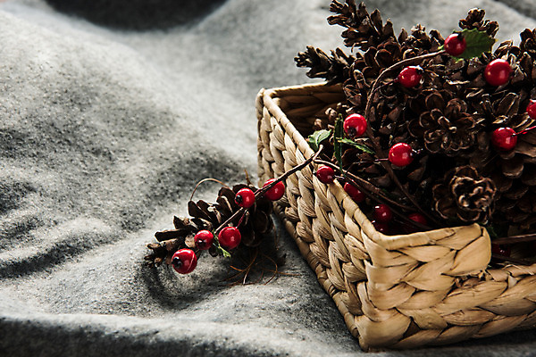 포토 식물 디자인 계절 기념일 뷰포인트 컬러 백그라운드 컨셉 크리스마스 실내 내부 용품 파일형식 바구니 겨울 빨간색 열매 상자 담요 솔방울 인테리어 근접촬영 JPG 크리스마스용품 사람없음 스튜디오촬영 감성 나무배경 국내포토