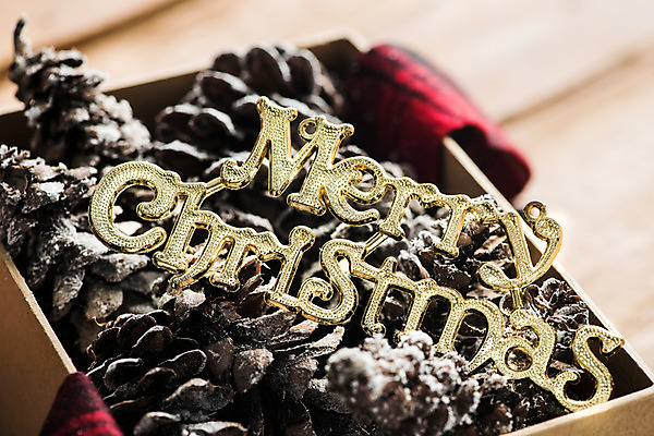 포토 JPG 스튜디오촬영 크리스마스 겨울 크리스마스용품 실내 근접촬영 사람없음 인테리어 상자 끈 담요 체크무늬 솔방울 감성 나무배경 국내포토 디자인 계절 기념일 뷰포인트 백그라운드 컨셉 무늬 내부 용품 파일형식