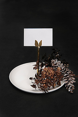 포토 JPG 스튜디오촬영 접시 크리스마스 겨울 명함 크리스마스용품 검은배경 실내 사람없음 장식 솔방울 감성 명함꽂이 국내포토 식기 계절 기념일 백그라운드 컨셉 내부 사무용품 검은색 용품 파일형식