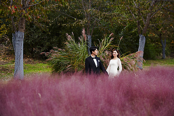 포토 JPG 주간 부부 커플 응시 여자 남자 행복 결혼 꽃밭 사랑 미소 사람 상반신 20대 성인 야외 두명 앞모습 옆모습 30대 손잡기 산책 한국인 가을 설레임 신랑신부 성인만 국내포토 자연요소 시선 계절 꽃 감정 신부_웨딩 뷰포인트 신랑 관계 모션 휴식 표정 동양인 이벤트 청년 장년 파일형식