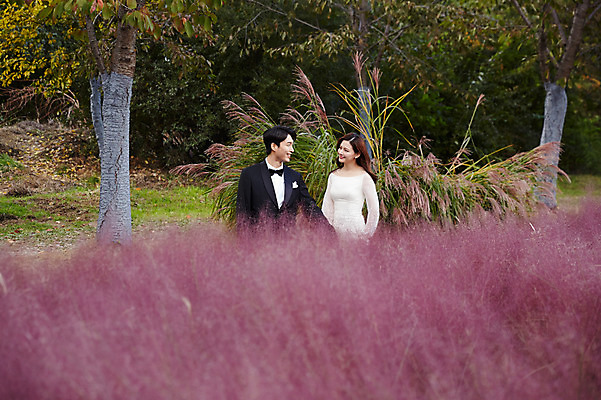 포토 JPG 주간 부부 커플 응시 여자 남자 행복 결혼 꽃밭 사랑 미소 사람 상반신 20대 성인 야외 두명 앞모습 옆모습 30대 마주보기 한국인 가을 예복 설레임 신랑신부 성인만 국내포토 자연요소 시선 옷 계절 꽃 감정 신부_웨딩 뷰포인트 신랑 관계 모션 표정 동양인 이벤트 청년 장년 파일형식