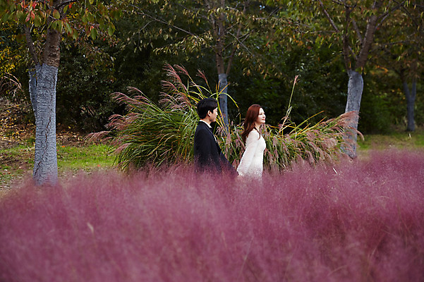 포토 JPG 주간 커플 응시 공원 여자 남자 행복 결혼 꽃밭 사랑 미소 사람 상반신 20대 성인 야외 두명 옆모습 30대 걷기 손잡기 산책 한국인 가을 예복 설레임 신랑신부 성인만 국내포토 자연요소 시선 옷 계절 공공시설 꽃 감정 신부_웨딩 뷰포인트 신랑 관계 모션 휴식 표정 동양인 이벤트 청년 장년 파일형식
