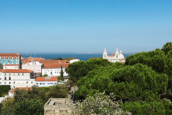 포토 JPG 주간 나무 해외풍경 건축물 바다 고건축 유럽풍경 하늘 풍경 사람없음 야외 포르투갈 국내포토 자연요소 식물 해외 건축 유럽 파일형식