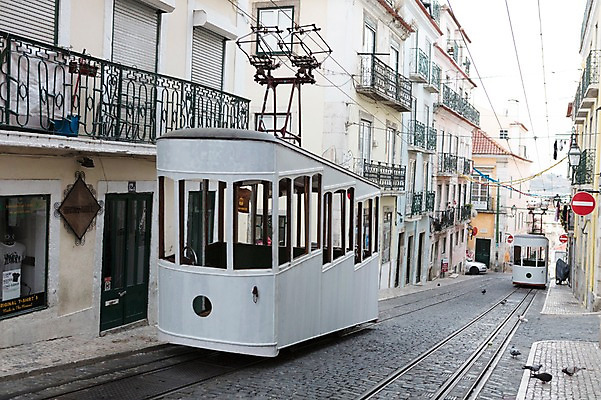 포토 JPG 주간 해외풍경 건축물 유럽풍경 거리풍경 풍경 사람없음 야외 골목길 포르투갈 트램 국내포토 자연요소 해외 건축 유럽 길 교통수단 거리 파일형식
