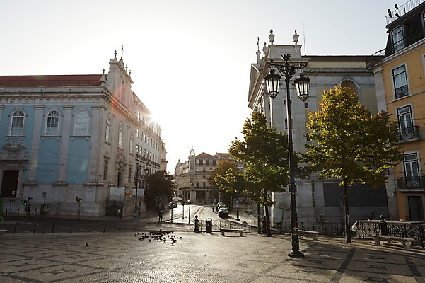 포토 JPG 주간 나무 해외풍경 건축물 공원 유럽풍경 거리풍경 풍경 사람없음 야외 포르투갈 국내포토 자연요소 식물 해외 공공시설 건축 유럽 거리 파일형식