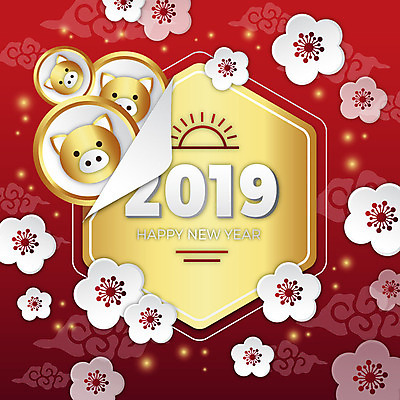 구름 전통 꽃 일러스트 새해 세마리 사람없음 빨간색 컬러풀 동전 축제 돼지띠 돼지 화려 해피뉴이어 2019년 기해년 황금돼지 국내일러스트 AI파일 돼지의해 자연요소 식물 컬러 컨셉 돈 포유류 3 새해인사 십이지신 연도 파일형식 벡터